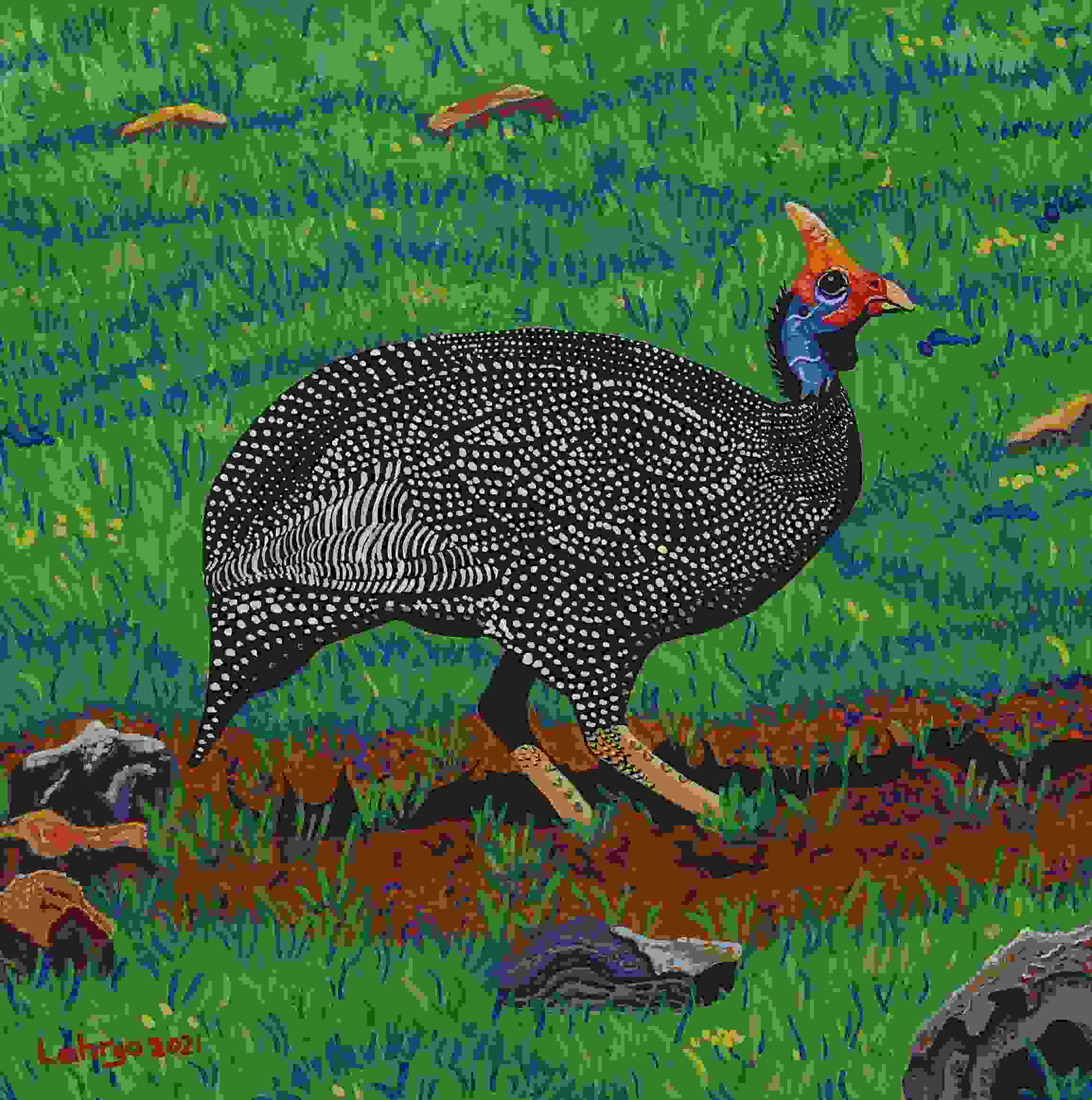 Helmeted Guineafowl